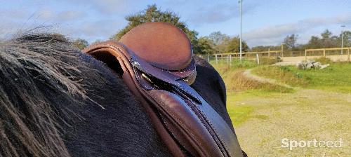 Equitation - Selle - photo 5