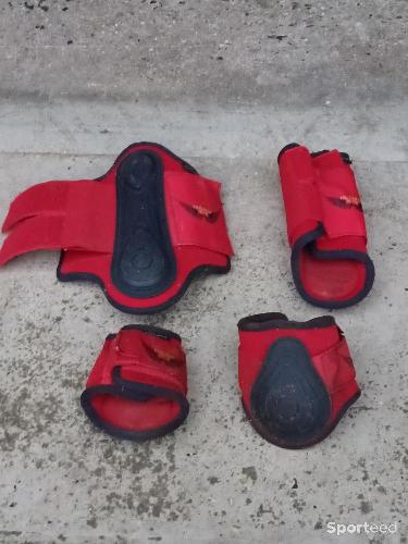 Guêtres et protège boulets poney