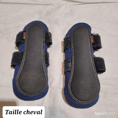 Guêtre bleue taille cheval marque geologic