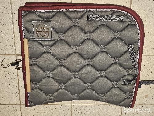Tapis de selle Equestrian Stockholm Edition limitée Gris et Bordeaux