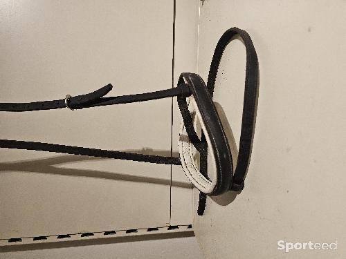 Muserolle taille Cob Noir et blanc