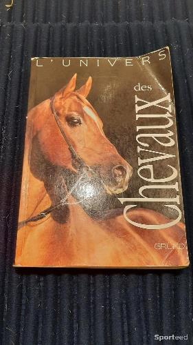 Equitation - L'univers des chevaux - photo 3