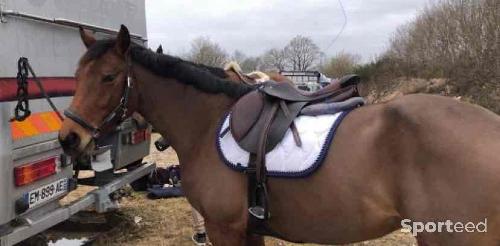 Equitation - Tapis équitation blanc HKM - photo 6