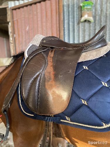 Equitation - selle spanaldi  - photo 6