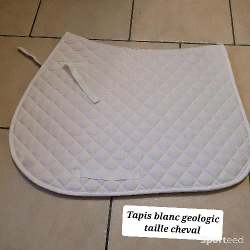 Equitation - Tapis blanc taille cheval marque geologic - photo 4