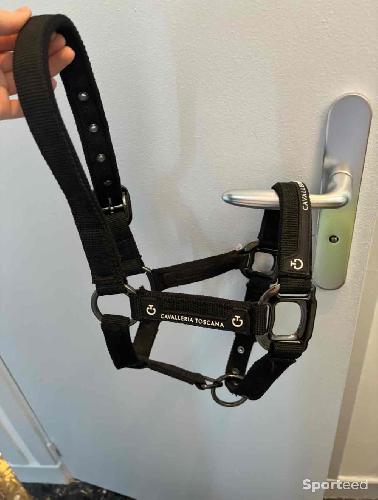 Licol d’équitation Cavaleria Toscana