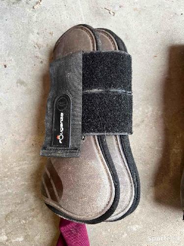 Protection d’Ouganda brune