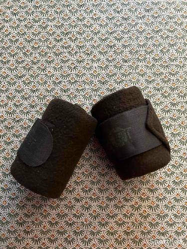 Bandes de repos polaire