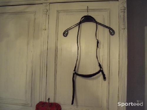 Equitation - muserolle allemande - cuir brun foncé - taille cheval - photo 5