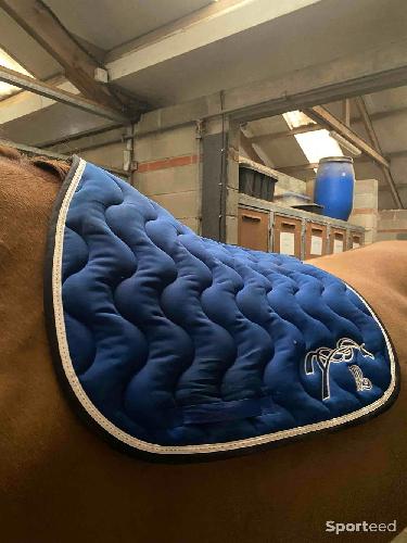 Equitation - tapis penelope  - photo 3