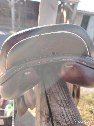 Equitation - VEND SELLE  - photo 5