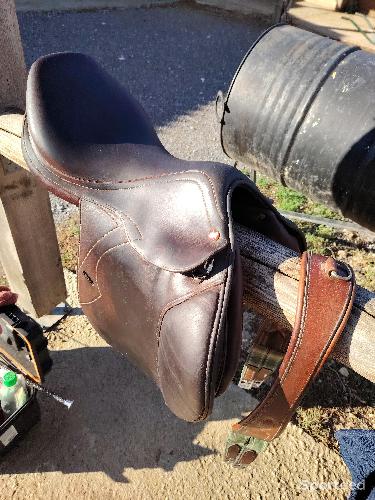 Equitation - VEND SELLE  - photo 5