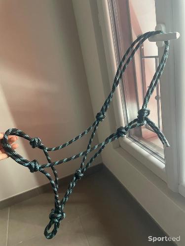 Licols éthologique taille cob 