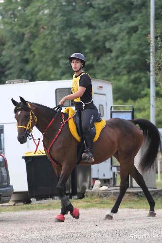 Equitation - Collier de chasse et martingale ZILCO - photo 4