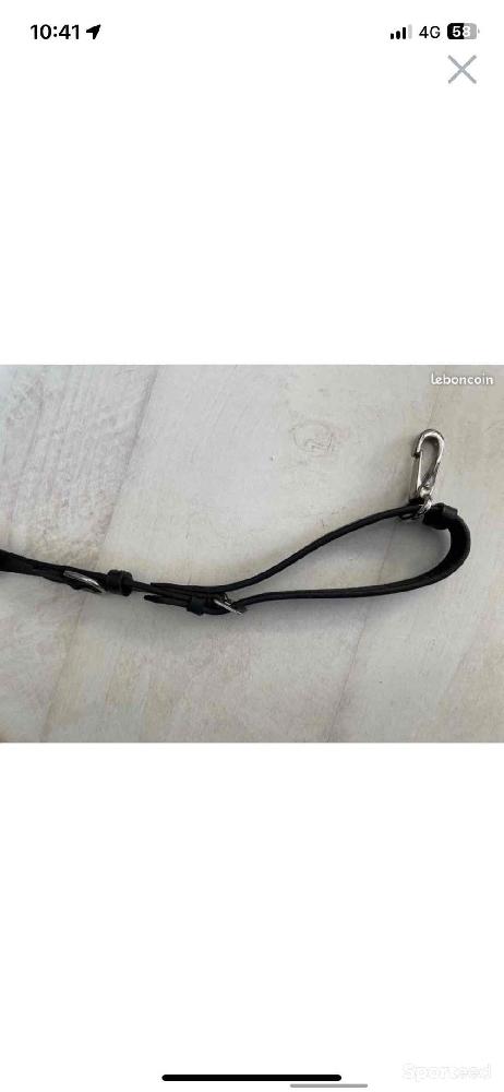 Equitation - collier de chasse  - photo 4