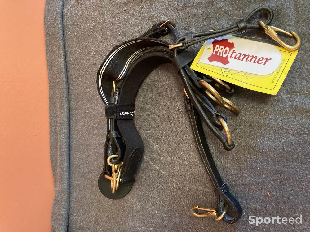 Equitation - Collier de chasse / martingale - photo 1