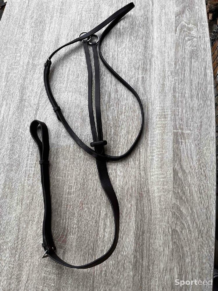 Equitation - Martingale marron cob - photo 1