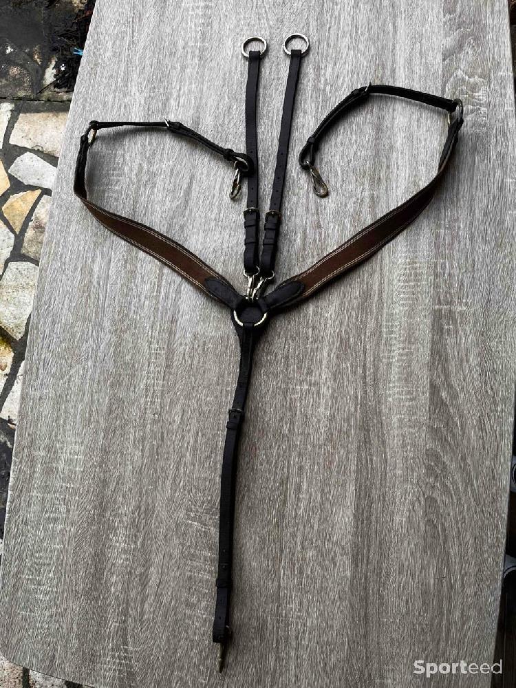 Equitation - Collier de chasse HFI marron - photo 1