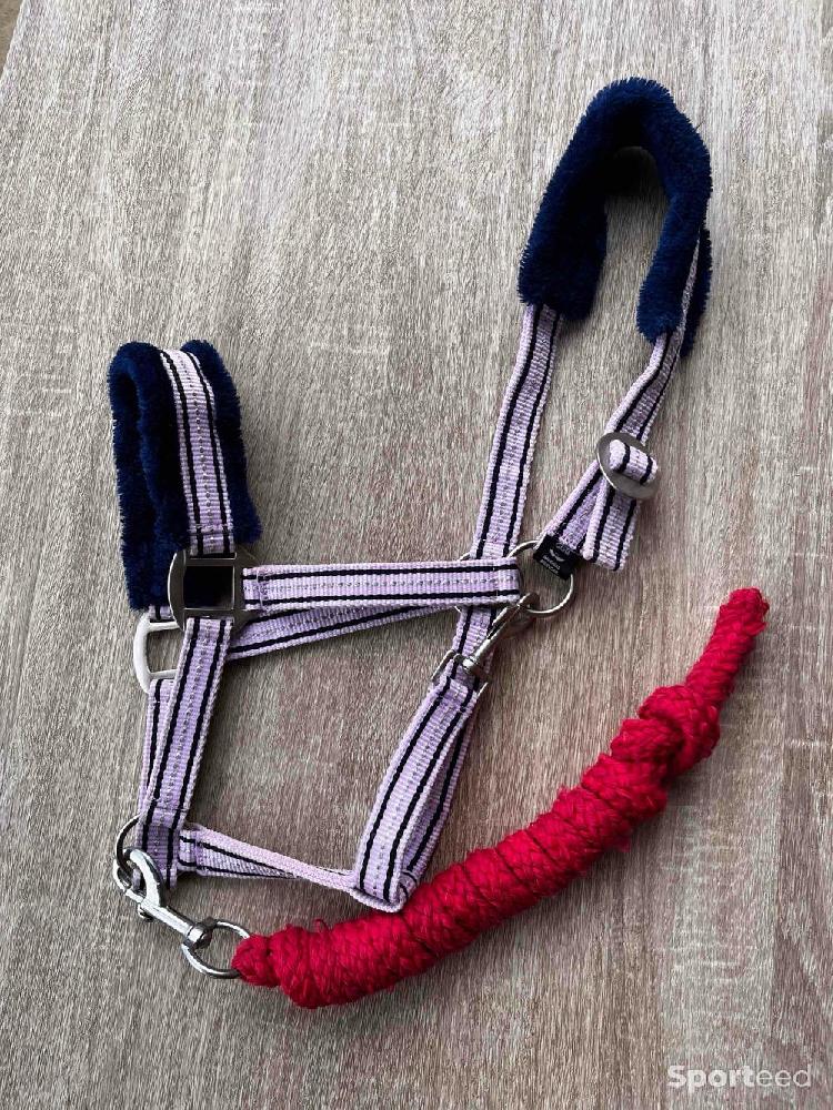 Equitation - Licol violet et longe rose taille cob - photo 3