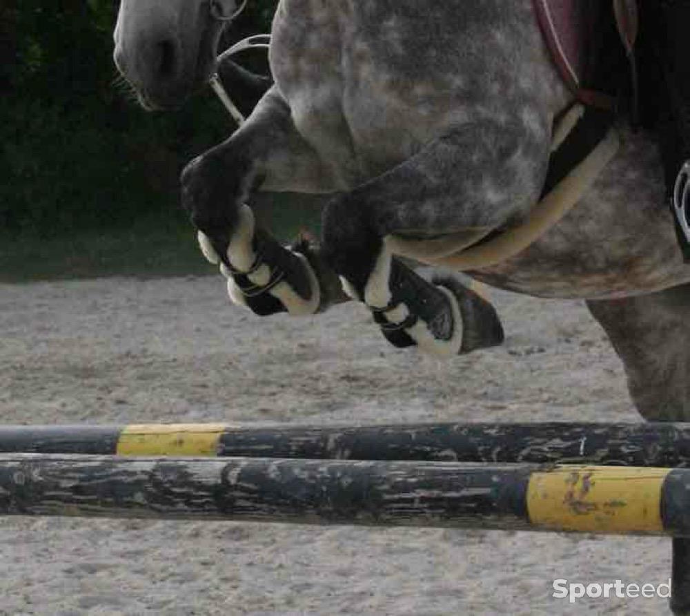 Equitation - Guêtres mouton Lami-Cell - photo 2