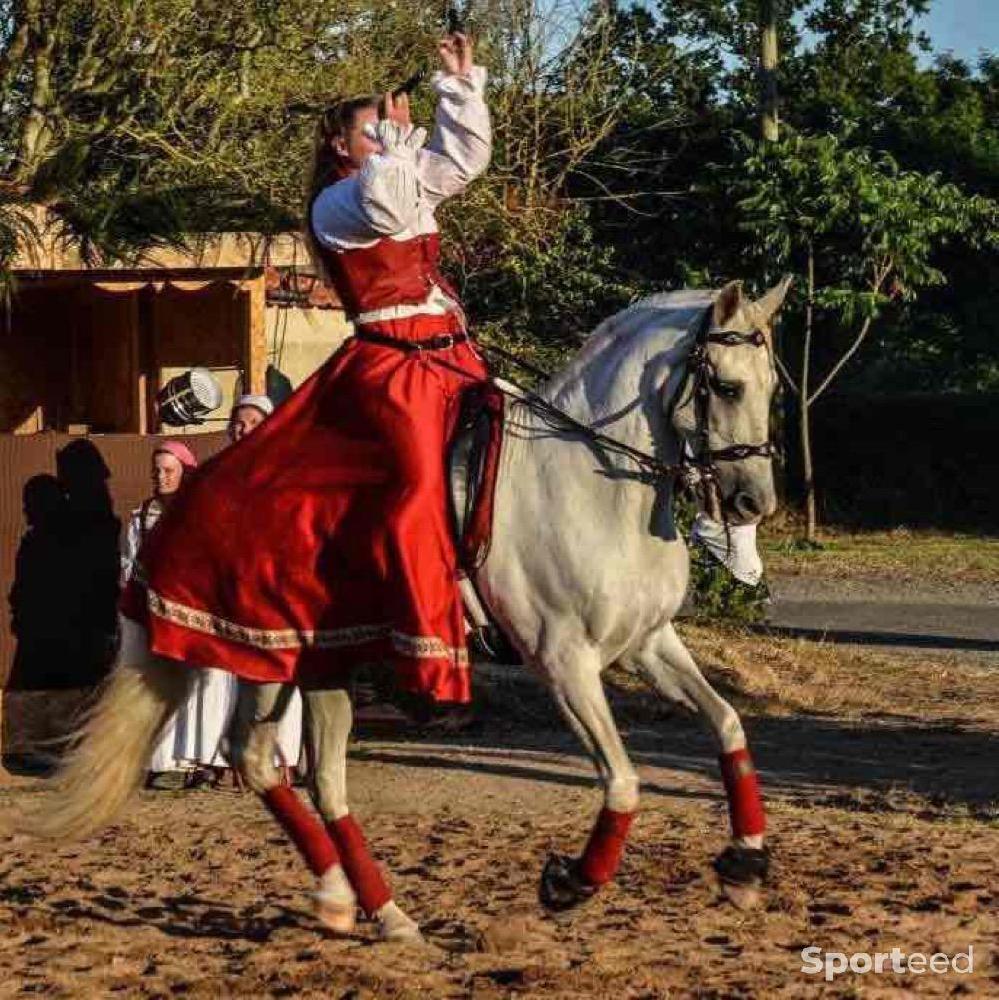 Equitation - Bandes cheval - photo 3