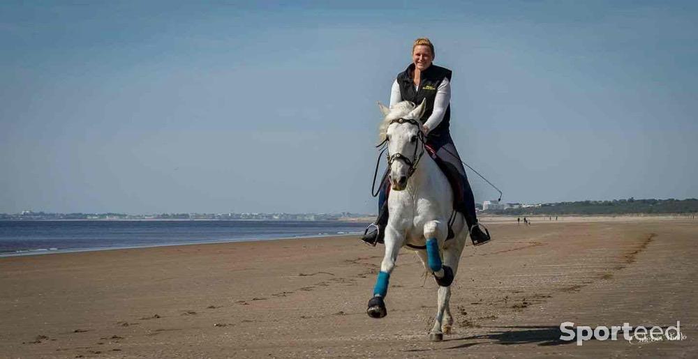 Equitation - Bandes bleus  - photo 1