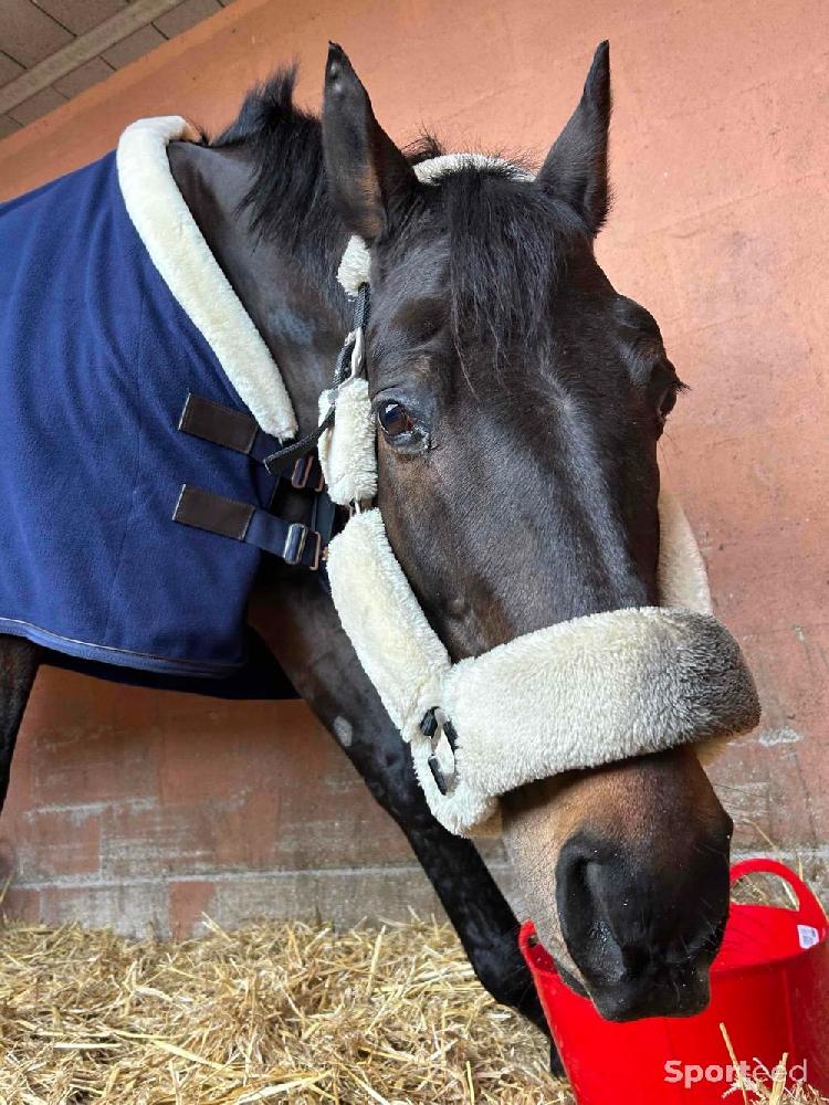 Equitation - Chemise polaire EQUITHÈME Teddy - photo 4