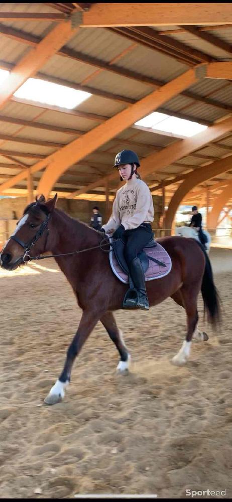 Equitation - Tapis de selle Félix rose  - photo 2