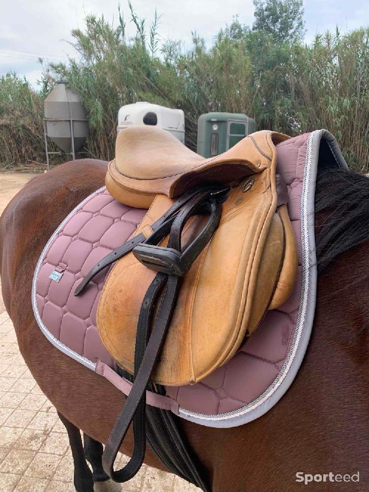 Equitation - Tapis de selle Félix rose  - photo 3