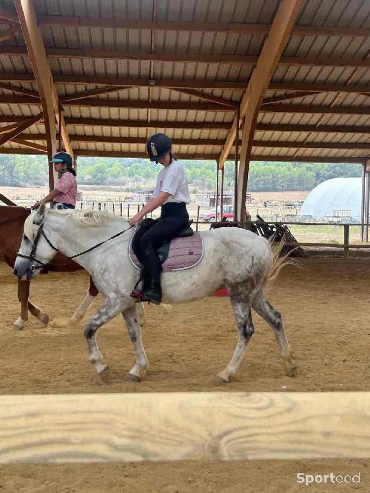 Equitation - Tapis de selle Félix rose  - photo 4