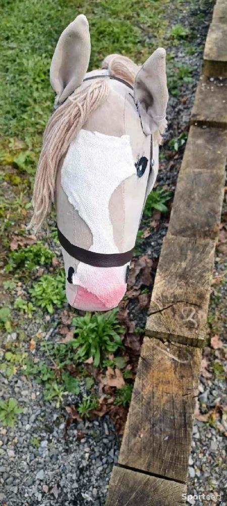 Equitation - Hobby horse - photo 3