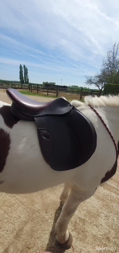 Equitation - Selle roméo cuir toute équipée  - photo 3