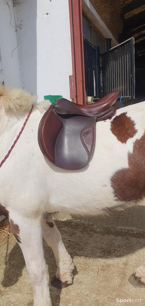 Equitation - Selle roméo cuir toute équipée  - photo 4