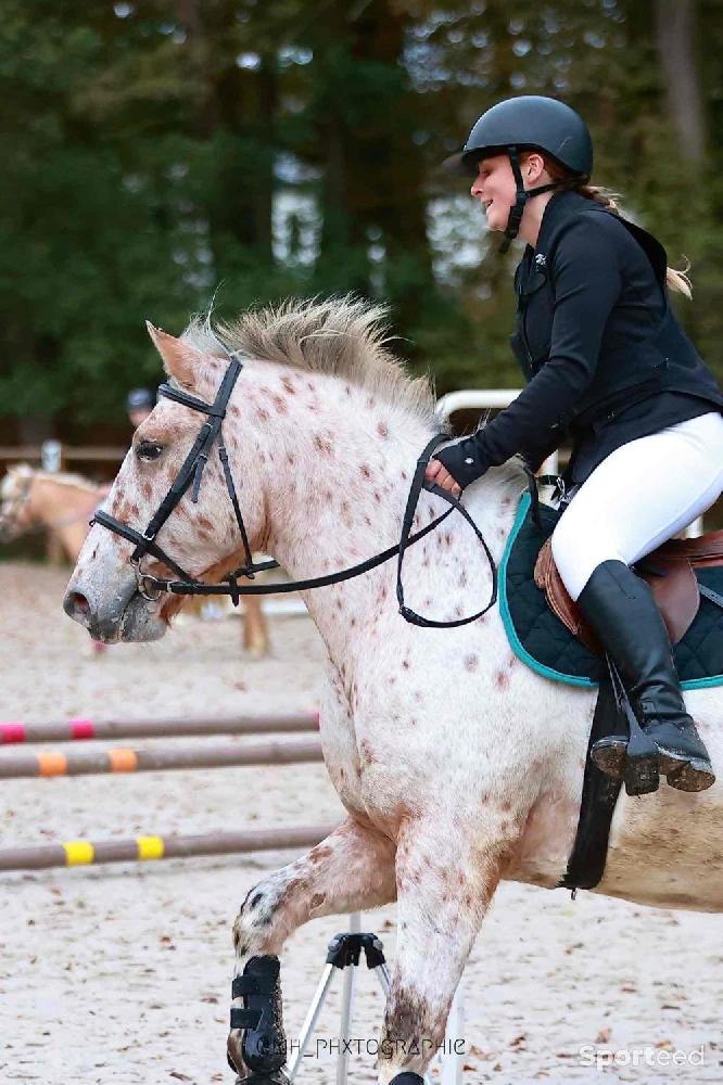 Equitation - airbag équitation.  - photo 1