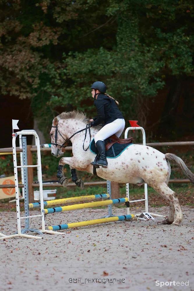 Equitation - airbag équitation.  - photo 4