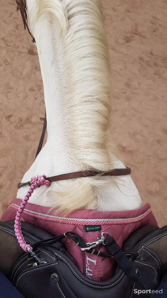 Equitation - Tiens rênes pour rando ou autres - photo 1