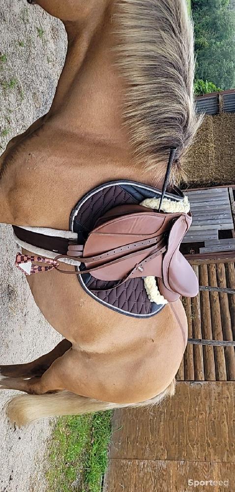 Equitation - Selle mixte wintec - photo 1