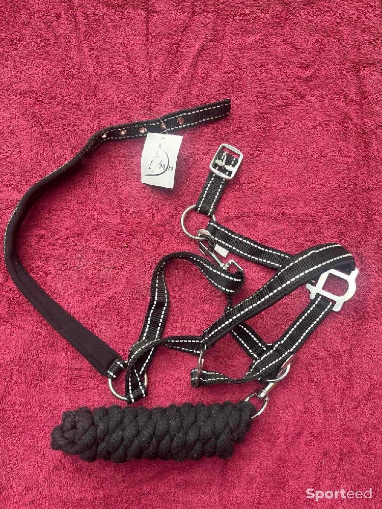 Equitation - Licol taille COB - photo 1