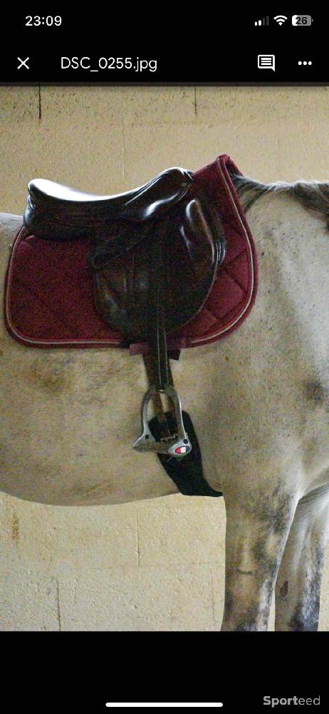 Equitation - Tapis framboise HKM - photo 2