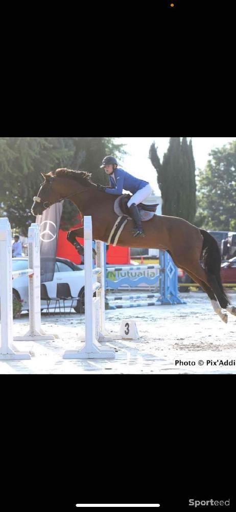 Equitation - Veste de concours  - photo 3