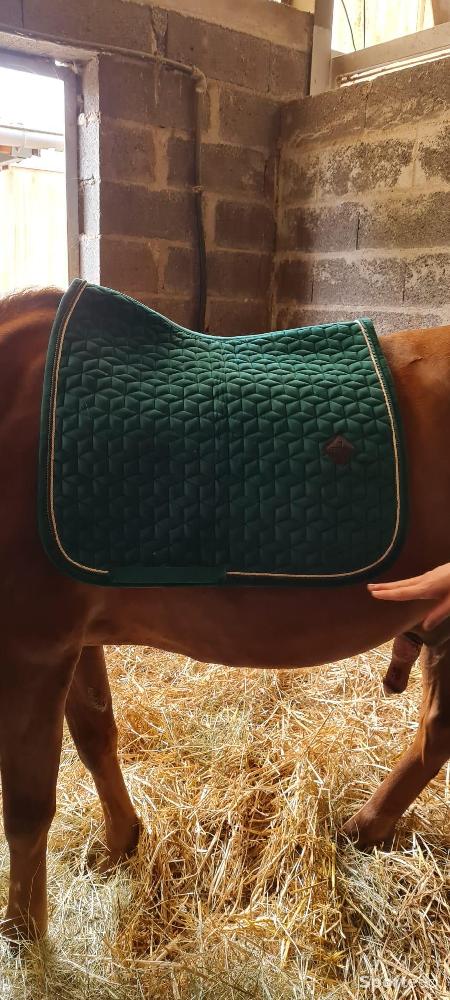 Equitation - Tapis Kentucky  - photo 5