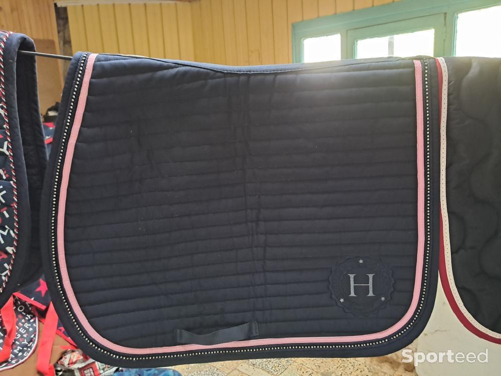 Equitation - Tapis Harcour  - photo 3