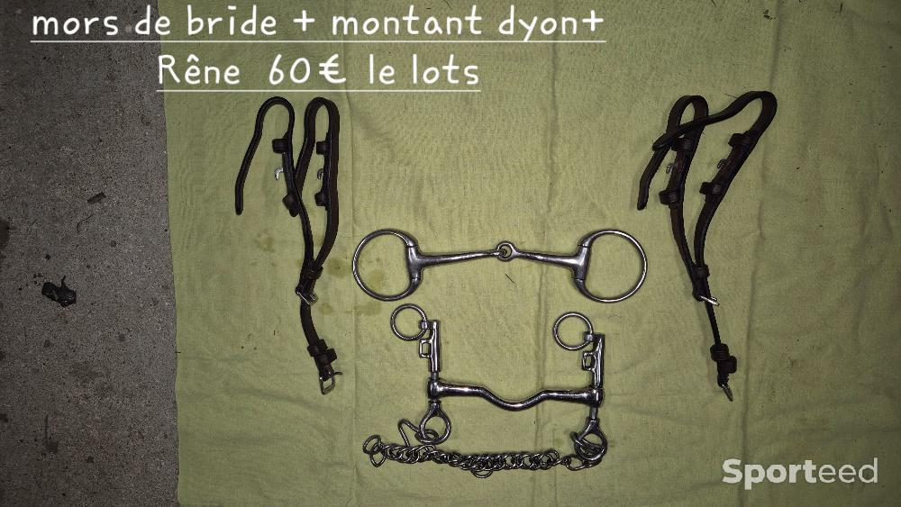 Equitation - Mors bride +montant dyon+ rene - photo 1