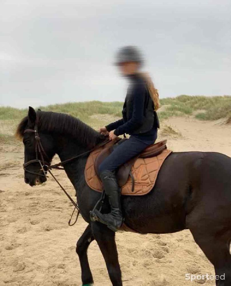 Equitation - Tapis ALEXANDRA LEDERMANN - photo 1