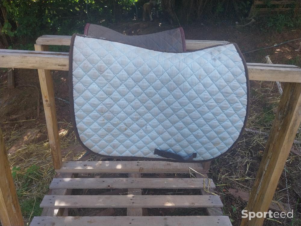 Equitation - Tapis taille cob - photo 1