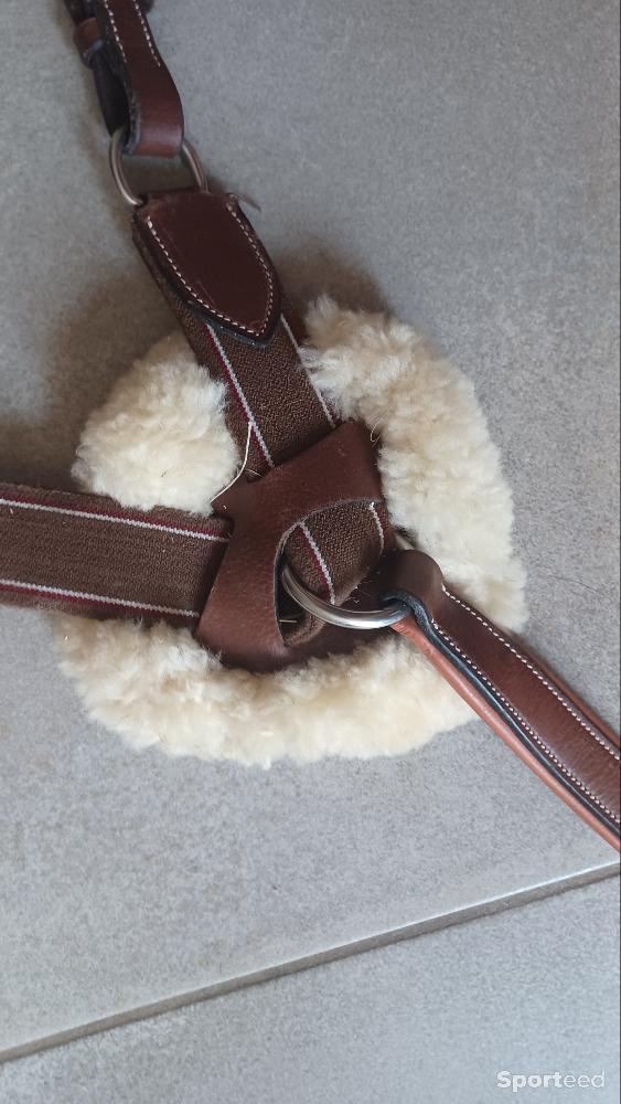 Equitation - Collier de chasse elastique/mouton havane - photo 1