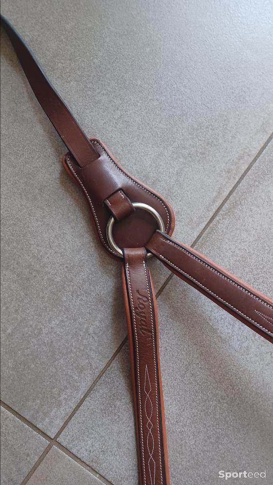 Equitation - Collier de chasse elastique/mouton havane - photo 2