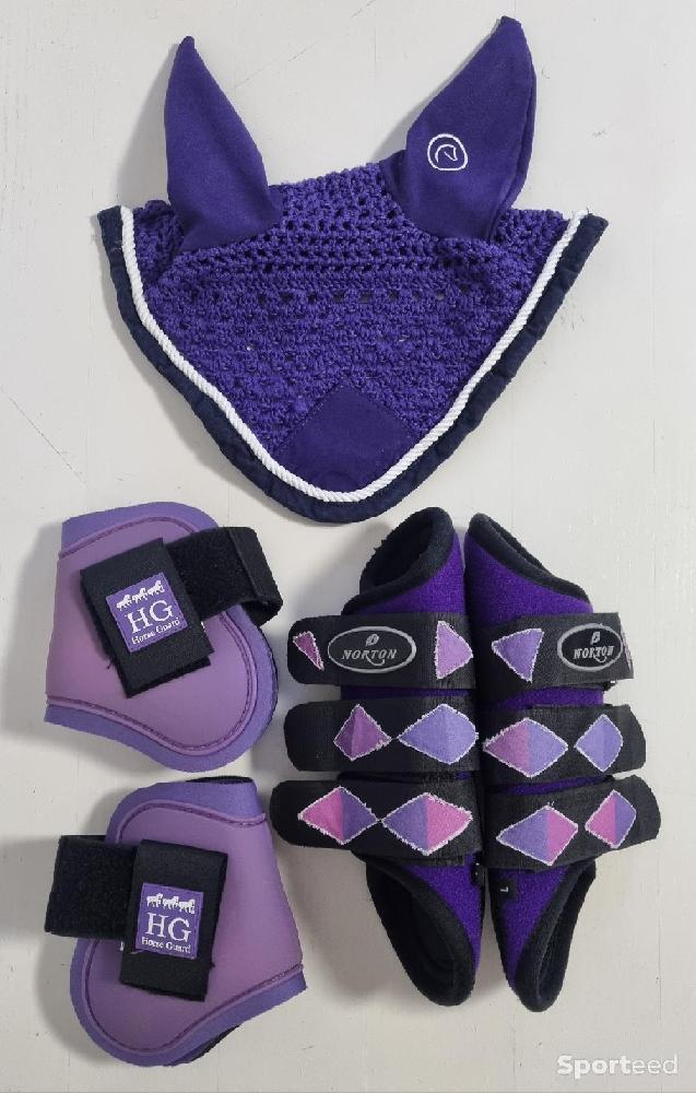 Equitation - Ensemble violet/lilas protections Norton Pro et HG + bonnet Equithème  - photo 1