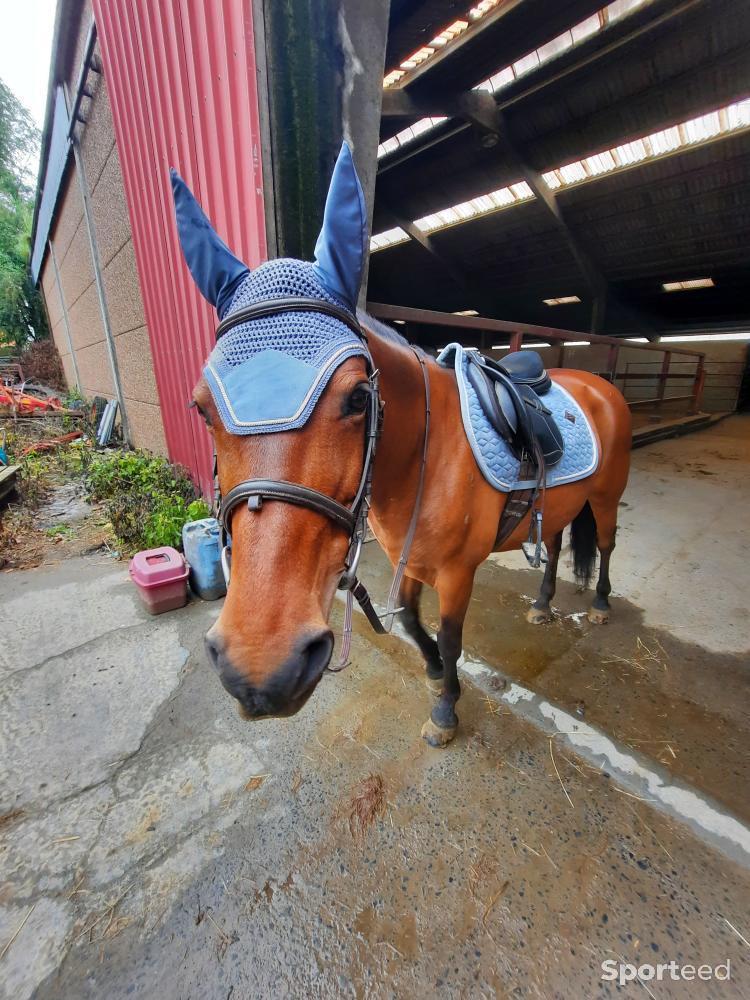 Equitation - Ensemble kentucky  - photo 1