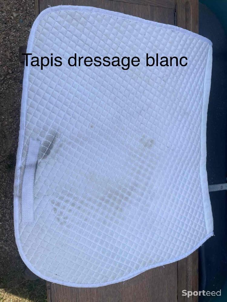 Equitation - Tapis dressage cheval blanc - photo 1